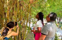 Walking tour of the magical city of Cartagena.