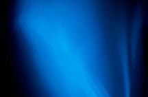 Bioluminiscense Night Tour
