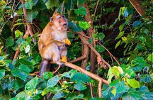 Private South Tour and La Vallee Des Couleurs Nature Park