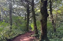  Small Group Tour in East Jeju Healing Island w/Hotel Pick-up