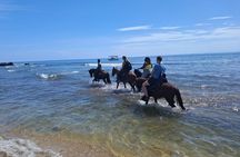 Roatan Half-day Combo 4 in One