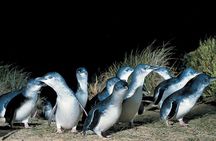 5 Days 4 Nights Melbourne Victoria Scenic Tour