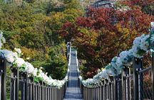 Private Tour: DMZ Aegibong & Korean Culinary Workshop Experience