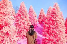 Romantic Winter Wonderland Tour from Seoul