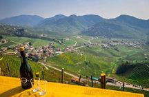 Day Trip to Dolomites and Prosecco Hills From Venice with Wine 