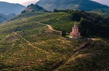 Experience Prosecco Hills with Wine and Food from Venice