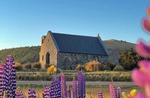 Mt. Cook Full Day Private Tour via Tekapo from Christchurch