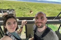 5 Day Tanzania Wildlife Safari Tour