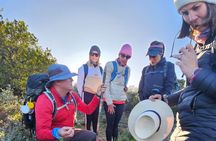 1 Day Guided Private Wine Walk Trails and Fossil Hunt 