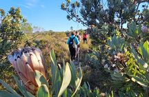 1 Day Guided Private Wine Walk Trails and Fossil Hunt 