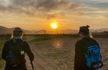 1 Day Guided Private Wine Walk Trails and Fossil Hunt 