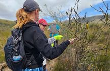 1 Day Guided Private Wine Walk Trails and Fossil Hunt 