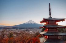 Mount fuji Private Tour