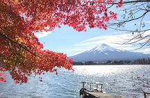 Mount fuji Private Tour