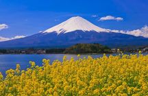 Mount fuji Private Tour