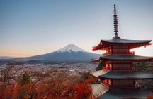 Mount fuji Private Tour
