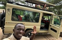 3 Day Serengeti and Ngorongoro Crater Safari Adventure