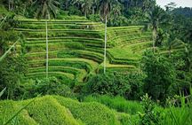 Bali Lempuyang Temple, Waterfall with Rice Terrace Tour