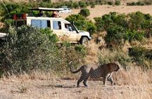 Private Day Tour To Amboseli National Park