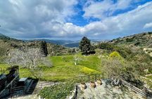 Discover Zeus’ Land: Tour to Knossos Palace and Lasithi Plateau