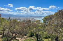 Discover Zeus’ Land: Tour to Knossos Palace and Lasithi Plateau