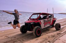 Desert Safari Dune Bashing Camel Ride Sand Surfing Atv or Buggy