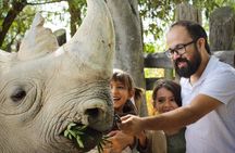 Tour Africam Safari in Puebla