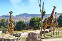 Tour Africam Safari in Puebla