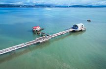 Cardiff: Gower Peninsula's Cliffs & Bays Scenic Day Tour