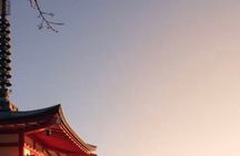 Mount Fuji Private Day Tour by certified Guide & Licensed vehicle