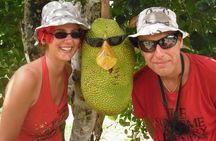 Langkawi Mangrove Boat tour With Mardi Agrotechnology Fruit Park