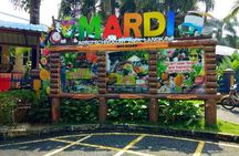 Langkawi Mangrove Boat tour With Mardi Agrotechnology Fruit Park