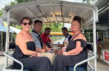 Small Group Full-Day Tour Cu Chi Tunnels and Mekong Delta 