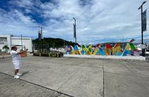 5hrs Panama City and Canal Tour + Amenities