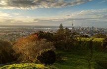 Piha Beach & Wilderness Nature : PRIVATE TOUR 8 hrs 