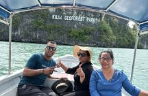 Langkawi Sightseeing Tour Including Cable Car And Sky Bridge