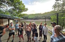 Langkawi Sightseeing Tour Including Cable Car And Sky Bridge