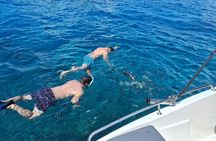 Full Day Snorkeling Tour in Cousin Curieuse and St Pierre Island