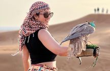 Dubai Morning Safari And Sand boarding With Quad Bike 