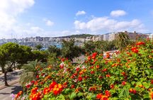 Explore Palma in 60 minutes with a Local