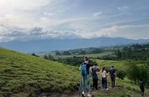 5 days best wildlife experience in Uganda