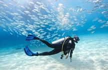 Diving Adventure at Ras Mohamed & White Island - Sharm El Sheikh