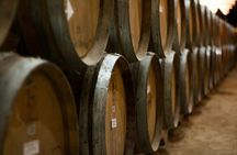 Semi Private; Wine Tasting Experience & Walking Tour of Durres