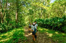 Expedition in the Jungle to the Eco Abandoned Estate of Punta Mona 