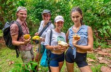Expedition in the Jungle to the Eco Abandoned Estate of Punta Mona 
