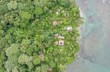 Expedition in the Jungle to the Eco Abandoned Estate of Punta Mona 