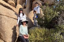 Sightseeing Adventure Tour of Joshua Tree National Park