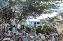 The Essential Island Highlights Tour