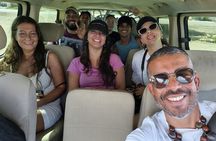 The Essential Island Highlights Tour