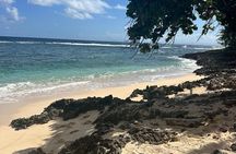 Half Day Tour in Samana with ATV Adventure